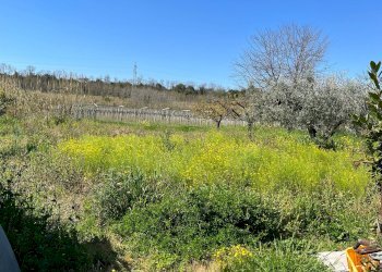 Foto 7 - Locale Commerciale SS 16 ADRFIATICA, San Salvo - foto 7