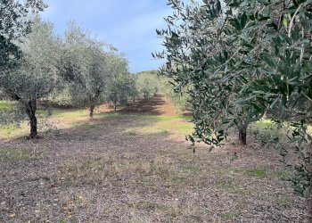 Foto 1 - Terreno edificabile C.DA INCORONATA, Vasto - foto 1