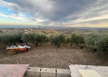 Foto 4 - Casa indipendente CONTRADA COLLE MINCUCCIO, Cupello - foto 4