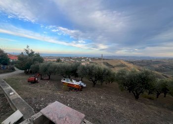 Foto 6 - Casa indipendente CONTRADA COLLE MINCUCCIO, Cupello - foto 6