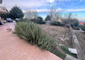 Foto 7 - Casa indipendente CONTRADA COLLE MINCUCCIO, Cupello - foto 7