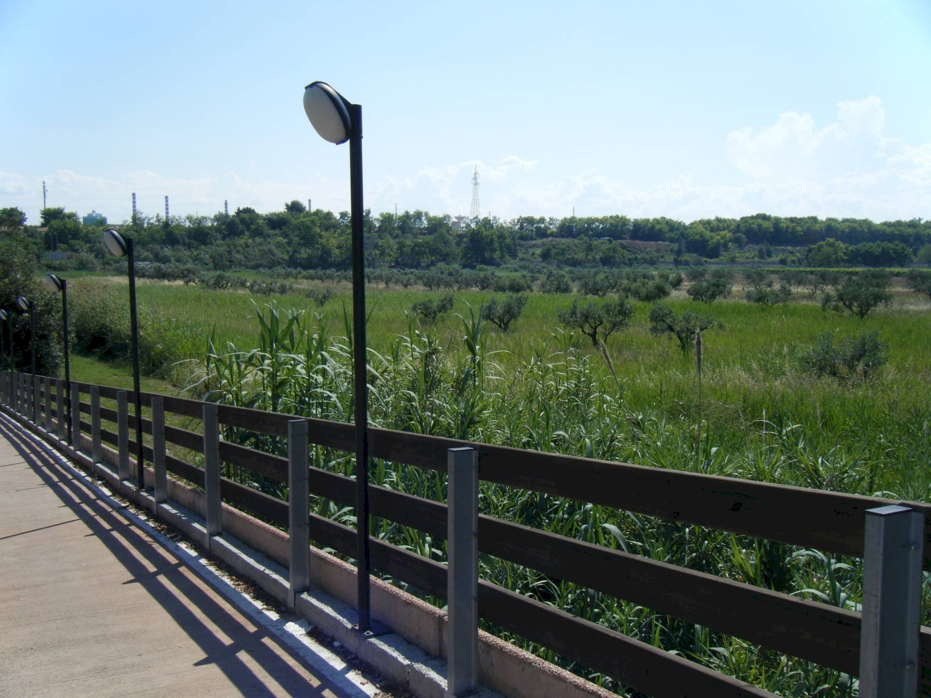 Foto 3 - Agriturismo SS 16 SUD, San Salvo - photo 3