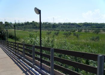 Foto 8 - Agriturismo SS 16 SUD, San Salvo - foto 8