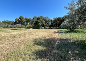 Foto 9 - Agriturismo SS 16 SUD, San Salvo - foto 9