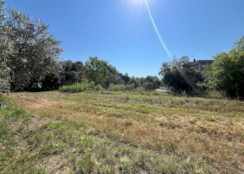 Foto 11 - Agriturismo SS 16 SUD, San Salvo - foto 11