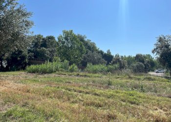 Foto 12 - Agriturismo SS 16 SUD, San Salvo - foto 12