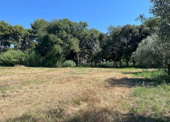 Foto 13 - Agriturismo SS 16 SUD, San Salvo - foto 13