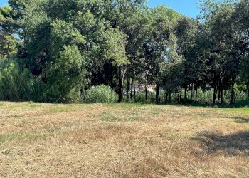 Foto 14 - Agriturismo SS 16 SUD, San Salvo - foto 14