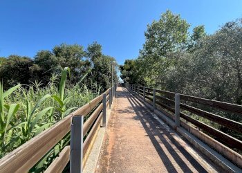 Foto 15 - Agriturismo SS 16 SUD, San Salvo - foto 15