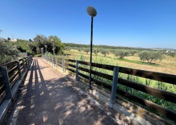 Foto 17 - Agriturismo SS 16 SUD, San Salvo - foto 17