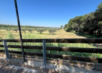 Foto 18 - Agriturismo SS 16 SUD, San Salvo - foto 18