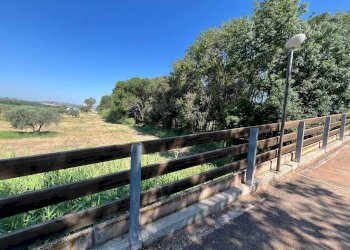 Foto 19 - Agriturismo SS 16 SUD, San Salvo - foto 19