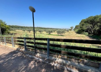 Foto 21 - Agriturismo SS 16 SUD, San Salvo - foto 21