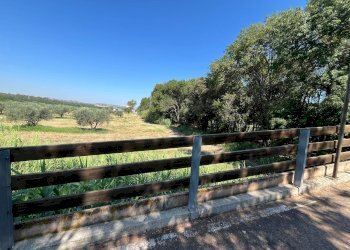 Foto 22 - Agriturismo SS 16 SUD, San Salvo - foto 22