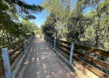 Foto 24 - Agriturismo SS 16 SUD, San Salvo - foto 24