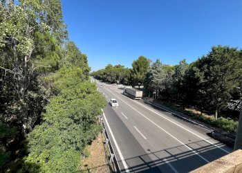 Foto 27 - Agriturismo SS 16 SUD, San Salvo - foto 27