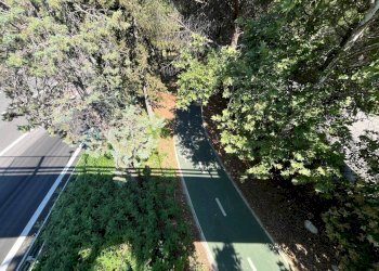 Foto 28 - Agriturismo SS 16 SUD, San Salvo - foto 28