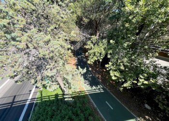 Foto 30 - Agriturismo SS 16 SUD, San Salvo - foto 30