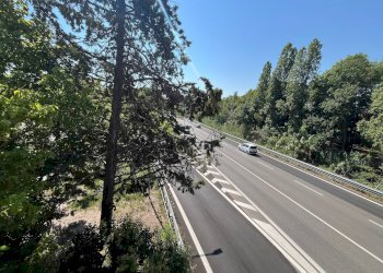 Foto 32 - Agriturismo SS 16 SUD, San Salvo - foto 32