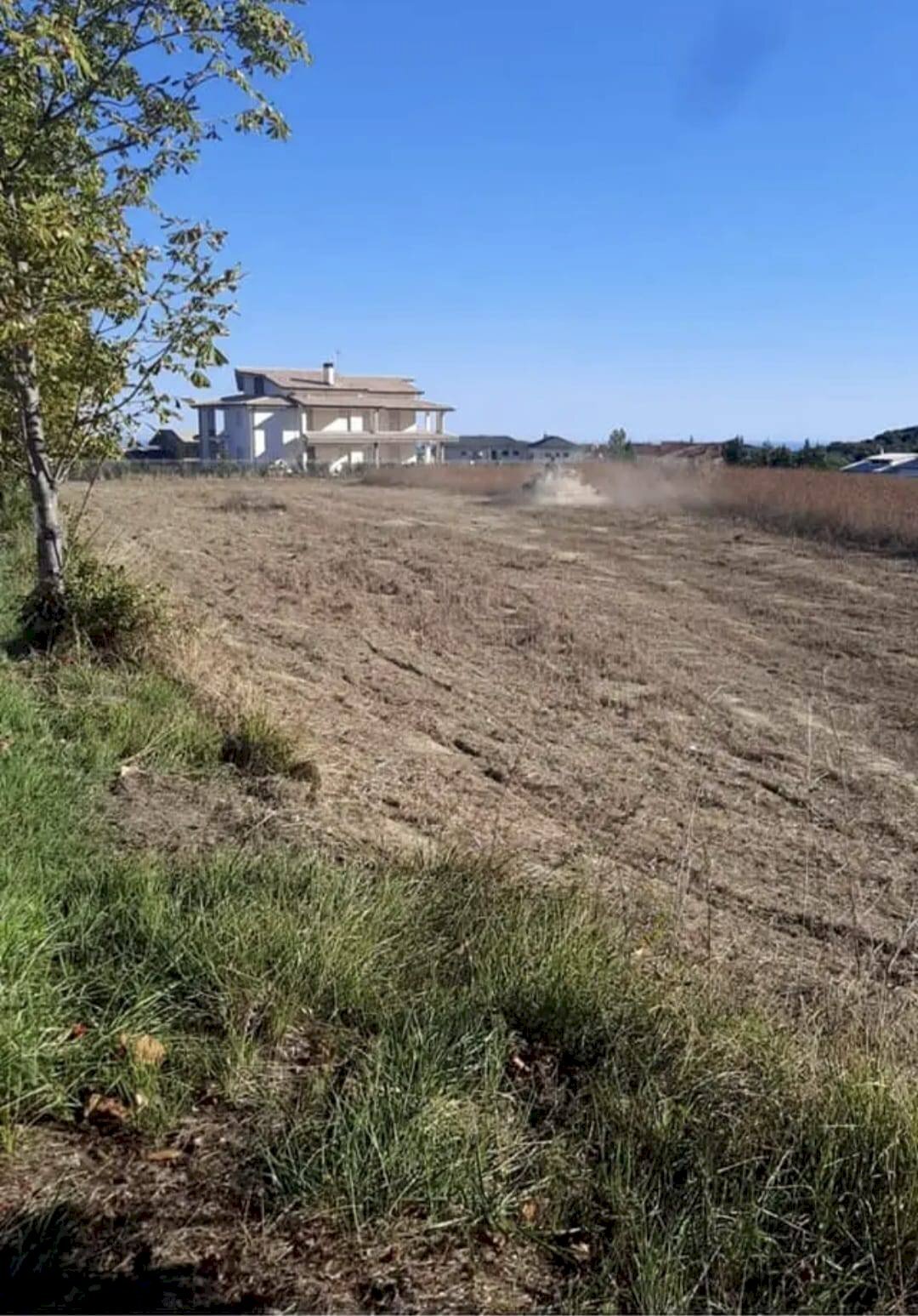 Foto 2 - Terreno edificabile COLLE PIZZUTO, Gissi - foto 2