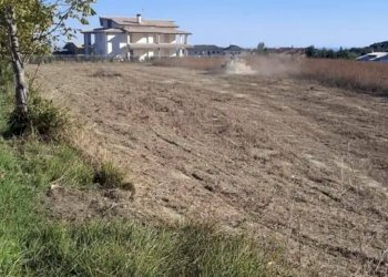 Foto 2 - Terreno edificabile COLLE PIZZUTO, Gissi - foto 2