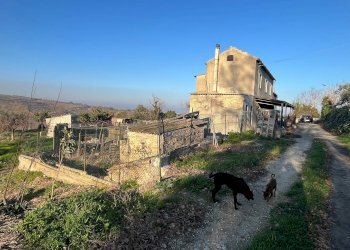 Foto 1 - Casa indipendente CONTRADA BORAGNA, Scerni - foto 1