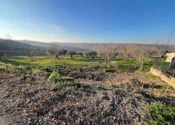 Foto 5 - Casa indipendente CONTRADA BORAGNA, Scerni - foto 5