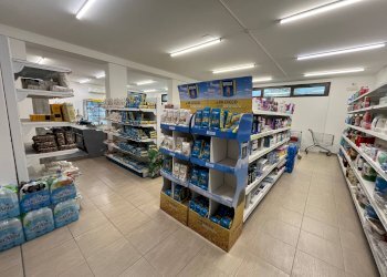 Foto 8 - Attività Commerciale VIA INCORONATA, Vasto - foto 8