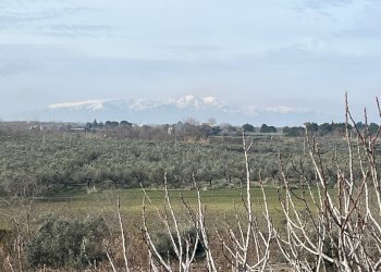Foto 4 - Villa VIA OSCA, Vasto - foto 4