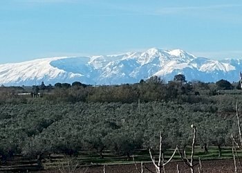 Foto 4 - Villa VIA OSCA, Vasto - foto 4