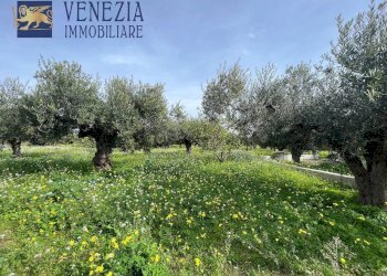 Foto 84 - Villa CONTRADA CARTABUBBO, Sciacca - foto 84