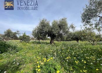 Foto 85 - Villa CONTRADA CARTABUBBO, Sciacca - foto 85