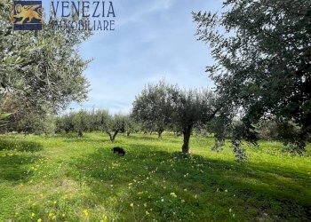 Foto 90 - Villa CONTRADA CARTABUBBO, Sciacca - foto 90