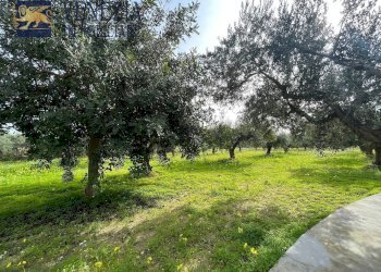 Foto 92 - Villa CONTRADA CARTABUBBO, Sciacca - foto 92