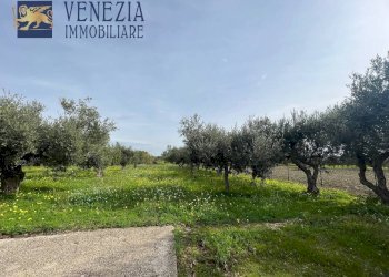 Foto 97 - Villa CONTRADA CARTABUBBO, Sciacca - foto 97