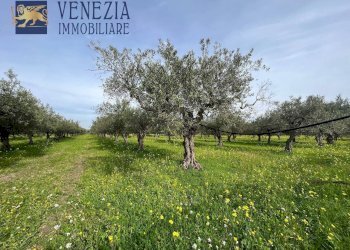 Foto 98 - Villa CONTRADA CARTABUBBO, Sciacca - foto 98