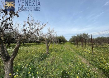 Foto 100 - Villa CONTRADA CARTABUBBO, Sciacca - foto 100