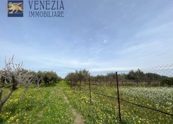 Foto 101 - Villa CONTRADA CARTABUBBO, Sciacca - foto 101