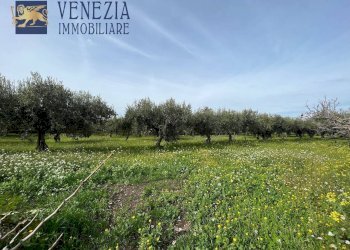 Foto 102 - Villa CONTRADA CARTABUBBO, Sciacca - foto 102