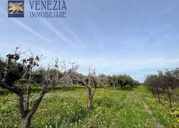 Foto 103 - Villa CONTRADA CARTABUBBO, Sciacca - foto 103