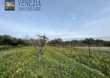 Foto 104 - Villa CONTRADA CARTABUBBO, Sciacca - foto 104