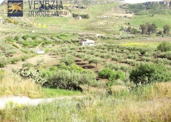 Foto 14 - Casa indipendente Contrada Garebici, Siculiana - foto 14