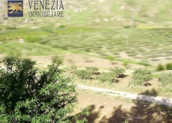 Foto 15 - Casa indipendente Contrada Garebici, Siculiana - foto 15