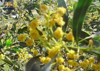 Foto 20 - Casa indipendente Contrada Garebici, Siculiana - foto 20