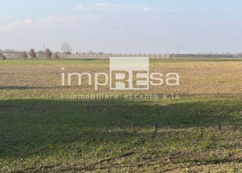 TERRENO - Terreno agricolo via Monte Grappa, Marcon - foto 1