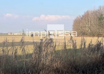 TERRENO - Terreno agricolo via Monte Grappa, Marcon - foto 9