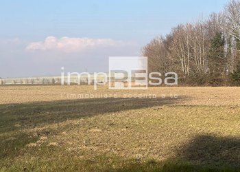 TERRENO - Terreno agricolo via Monte Grappa, Marcon - foto 3