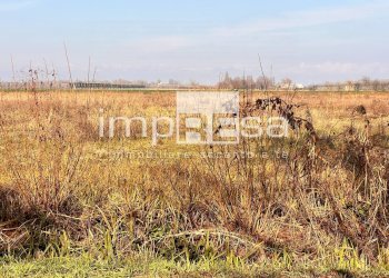 TERRENO - Terreno agricolo via Monte Grappa, Marcon - foto 2