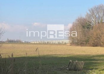 TERRENO - Terreno agricolo via Monte Grappa, Marcon - foto 4
