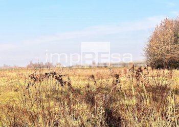 TERRENO - Terreno agricolo via Monte Grappa, Marcon - foto 5